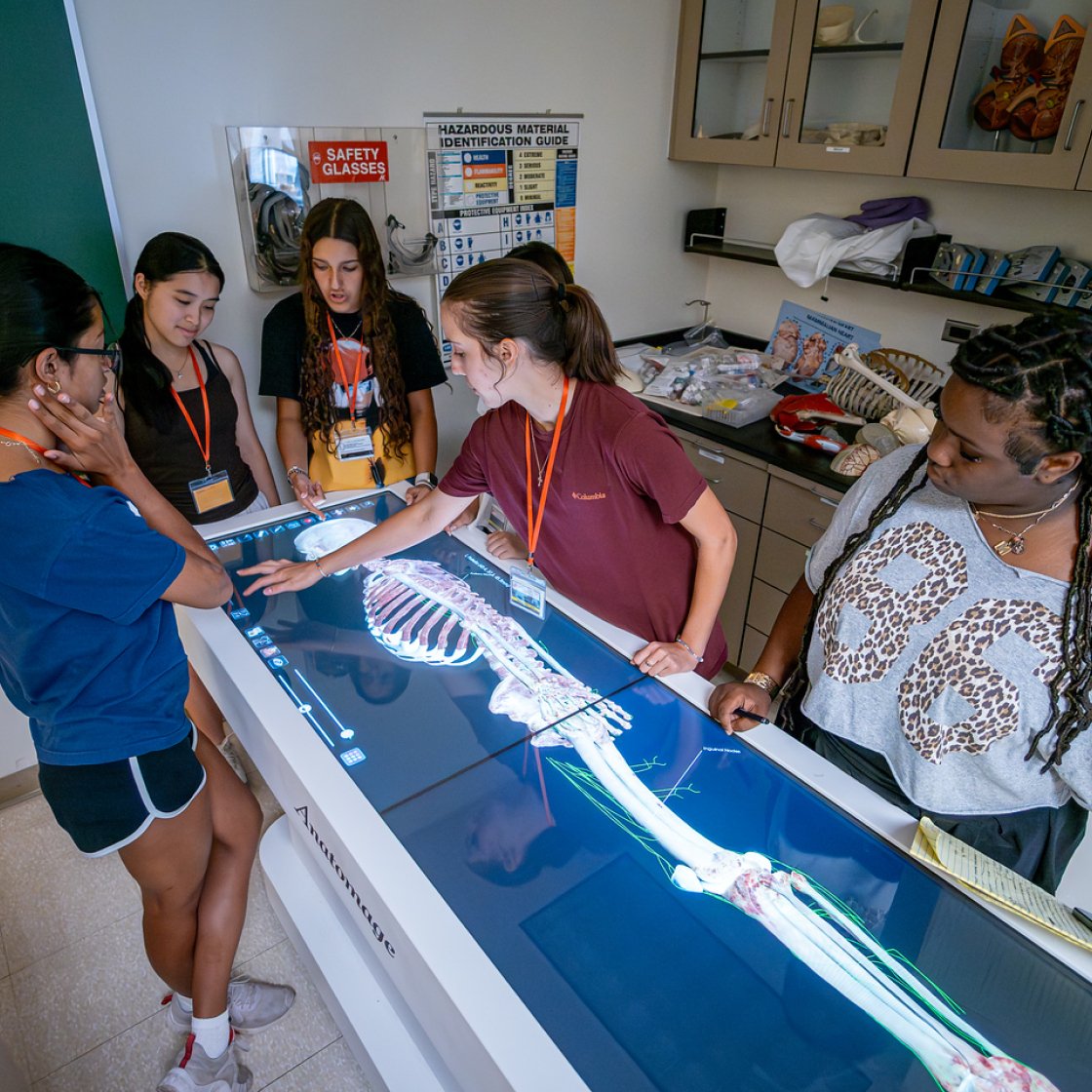 A group of students gather around a digital anatomy table in a lab, examining a full-body skeleton image.