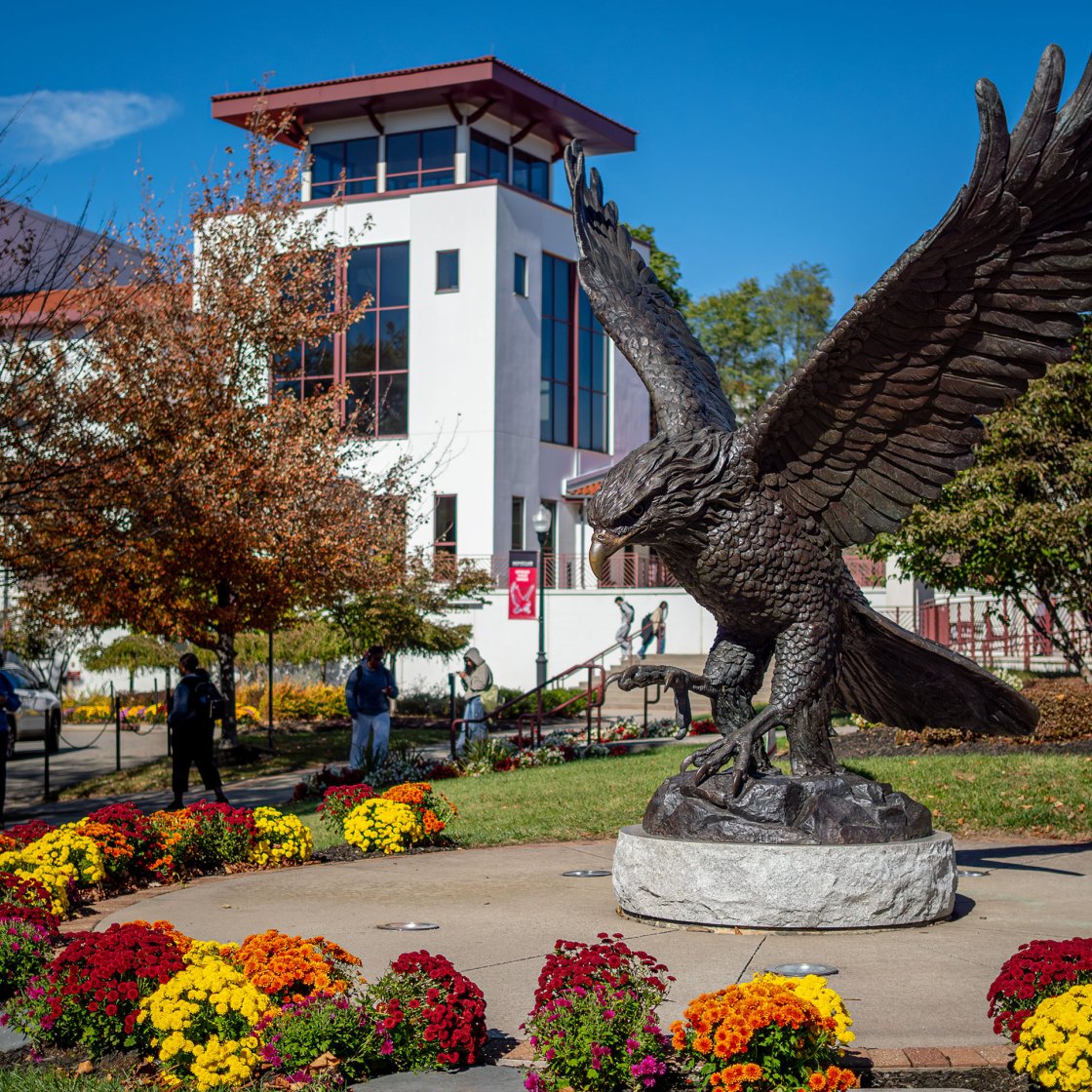 Red Hawk statue in fall.