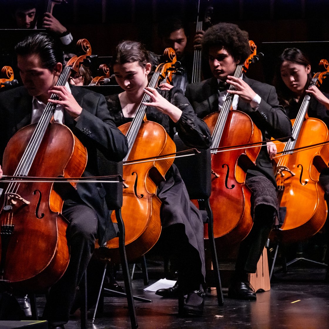 Cellists on stage in a concert