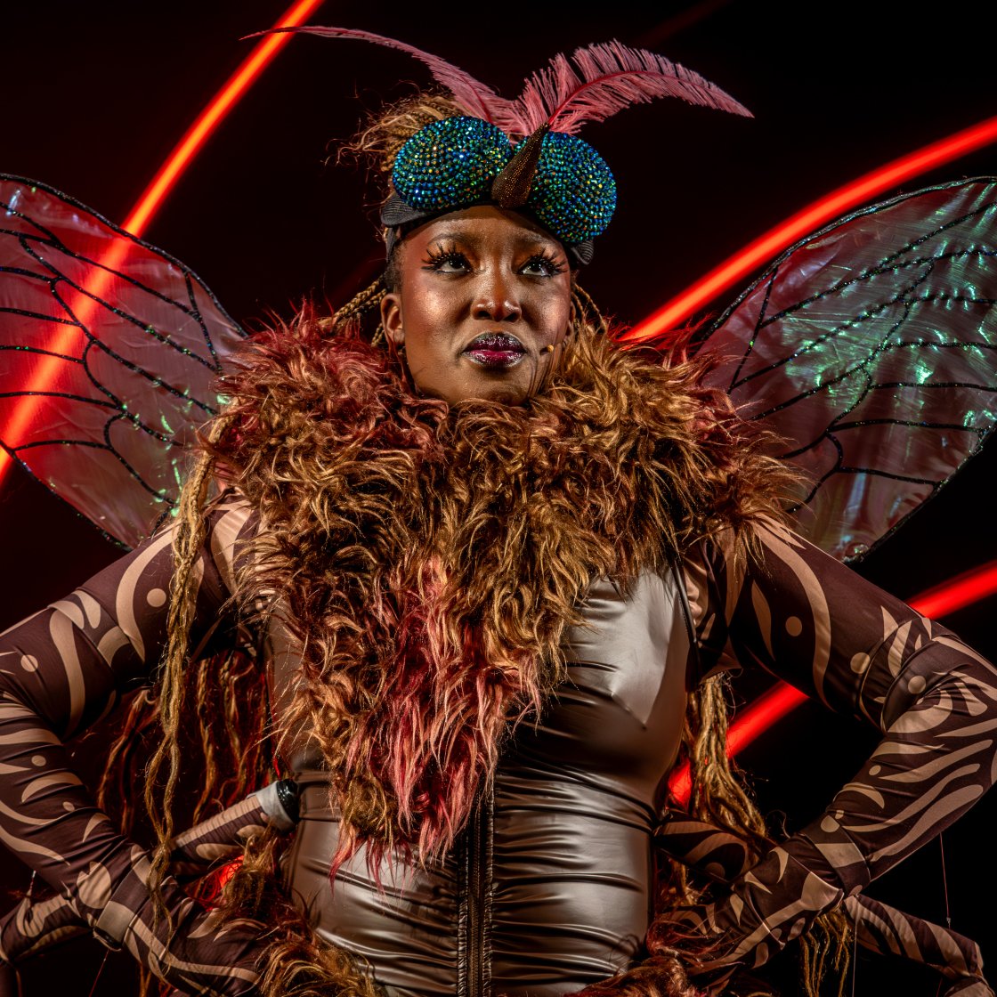 Performer on stage in costume.
