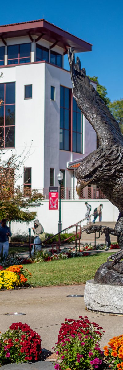Red Hawk statue in fall.