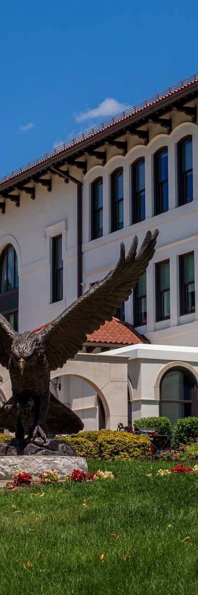 Hawk statue in front of Cole Hall
