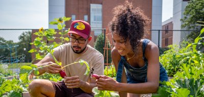 Two students tending plants in the community garden