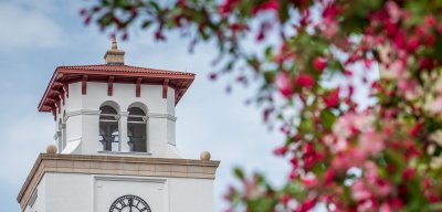 Clock tower on campus with pink and green leaves in front.