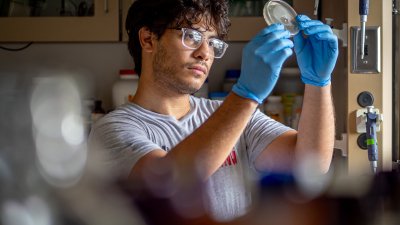A student in a T‑shirt and blue gloves stands in a laboratory, holding a petri dish up to eye level to examine it.
