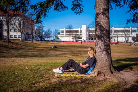 Student on the campus quad, looking away from camera (face not visible)