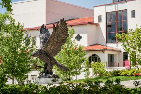 Hawk Statue