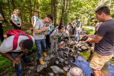Montclair CSAM students conducting field studies near a stream.