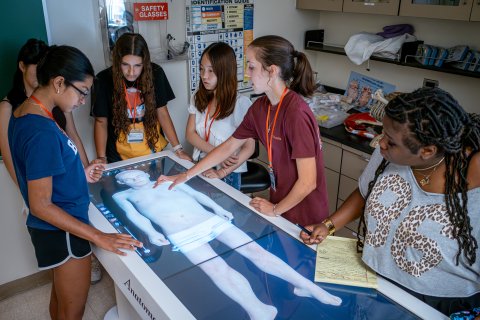 Pre teens examining a diagram of a body.