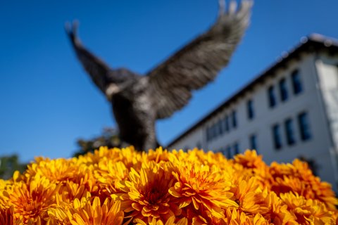 Closeup of flowers in front of the Montclair bird statue. 