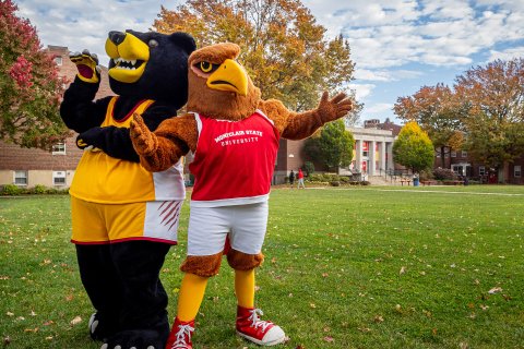 Two mascots are pictured alongside one another. 