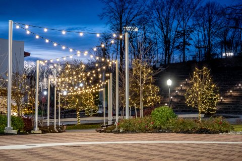 Campus at night with fairy lights overhead.