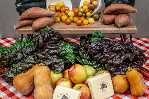 A Farm Box display arranged on a red-and-white checkered tablecloth features whole apples, butternut squash, rainbow chard with green and dark red leaves, sweet potatoes, colorful cherry tomatoes in bowls, acorn squash, and blocks of locally made Colby cheese.