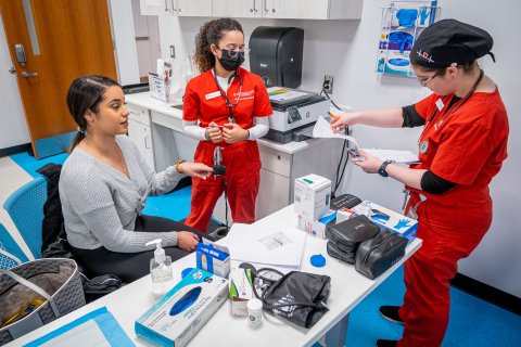 Three nursing students are collaborating together.