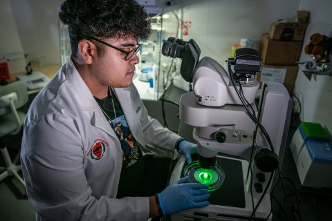 Melvin Rodriguez, wearing a white lab coat with a Montclair State University patch and blue gloves, sits at a fluorescent microscope in a dim lab. He looks intently through the eyepiece while holding a petri dish glowing bright green under the microscope lens, surrounded by scientific equipment and incubators in the background.