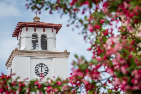 Clock tower on campus with pink and green leaves in front.