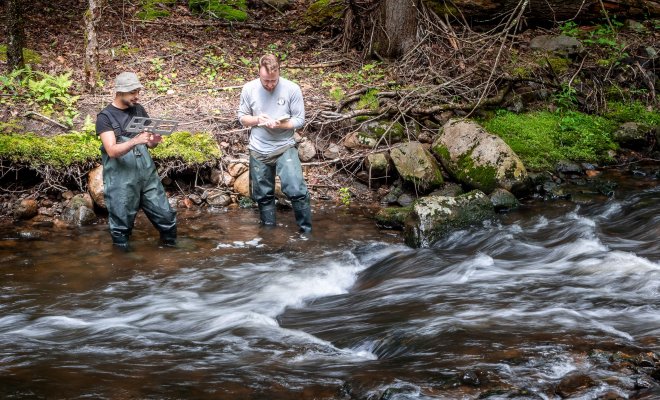 Two students wade into the water at the edge of a stream to take measurements.