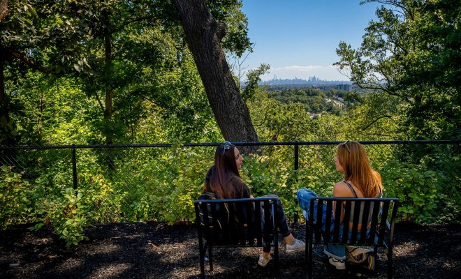 Two students talking while sitting on benches, surrounded by trees with the New York City skyline in the background.