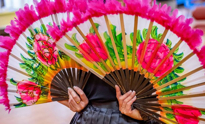 Photo of color fans with bright pink feather trim.