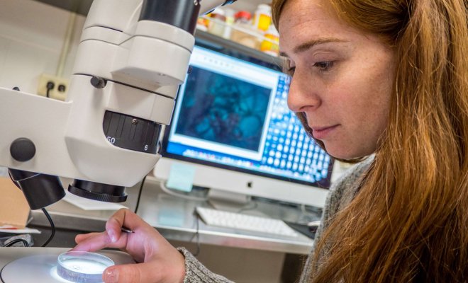 Student places a sample under a microscope camera with the video feed going to a computer on a desk to her right.