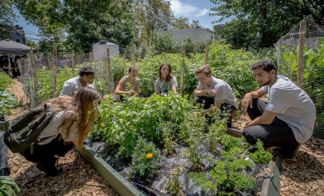 Montclair students gathered around a garden bed in an urban garden surrounded by buildings.