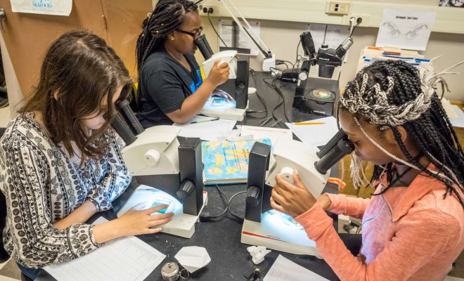 Three young students make notes while looking at samples through binocular microscopes.