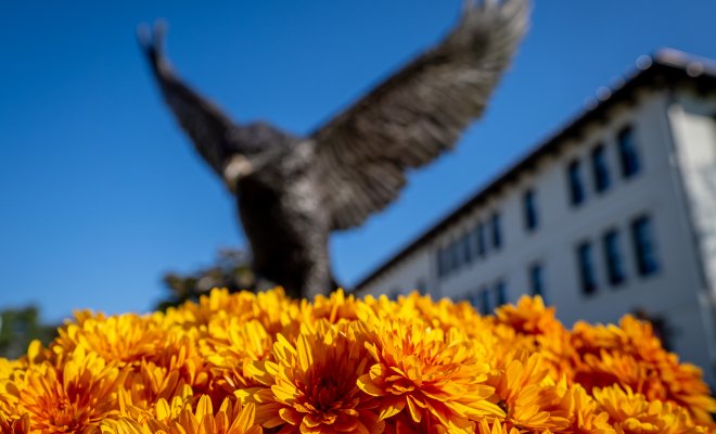 Closeup of flowers in front of the Montclair bird statue. 