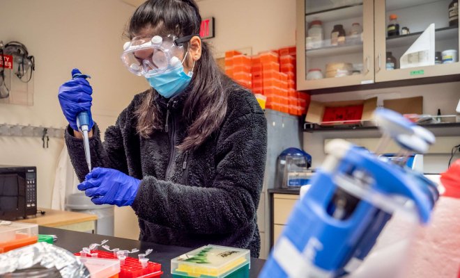 Student in a laboratory with protective eyeware and surgical mask using a pipette to transfer a sample to a test tube.