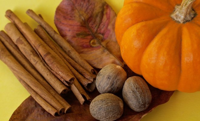 Photo showing an arrangement of fall items including pumpkin, leaves, cinnamon sticks