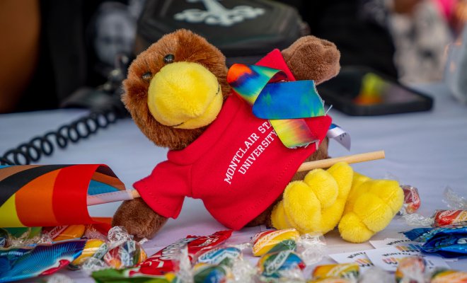 Rocky plush holding a pride ribbon and surrounded by candies
