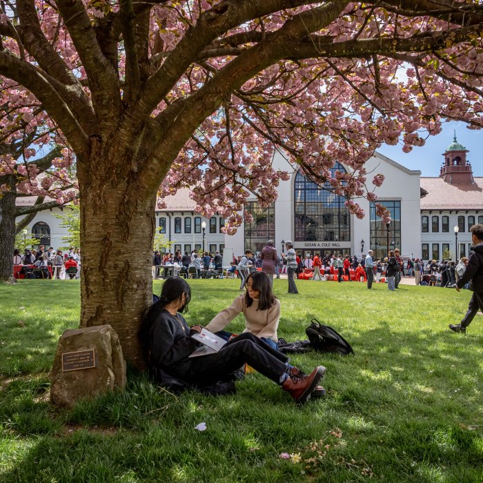 Two students relax under a flowering tree eating snacks from around the world while students from assorted campus culture clubs present for World's Fair Day in the background