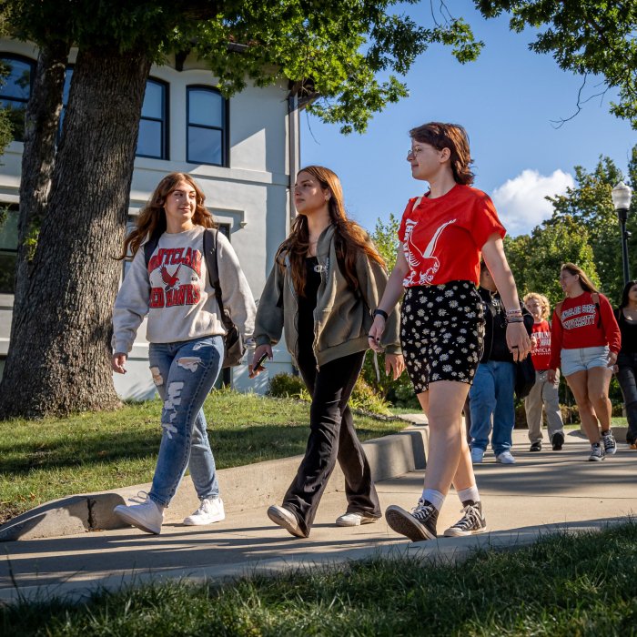 Three students walking down a path on a sunny day