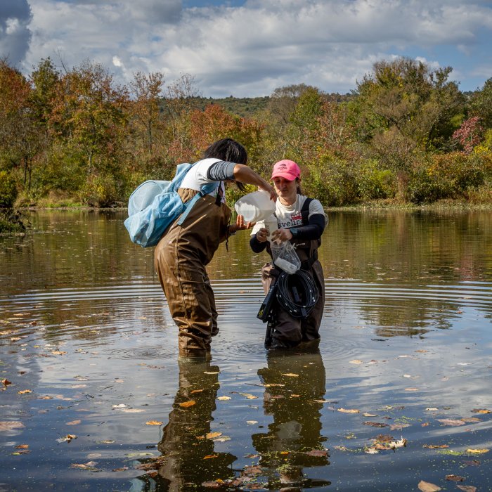 Two students in waders stand in a small river collecting samples