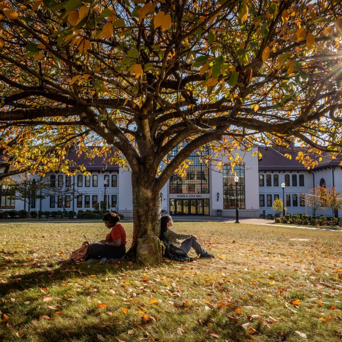 Two students sit under a tree in fall with a burst of sun shining through yellow and orange leaves.