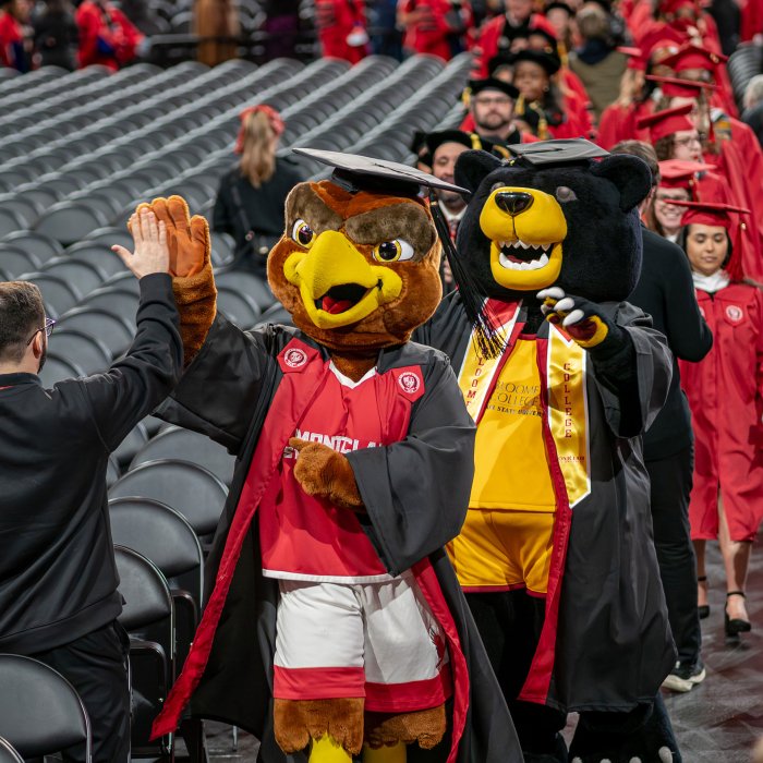 Rocky the Red Hawk and Deacon the Bear mascots, dressed in graduation caps and gowns, walk down an aisle of empty seats, high-fiving and pointing as graduates in red gowns follow behind them.