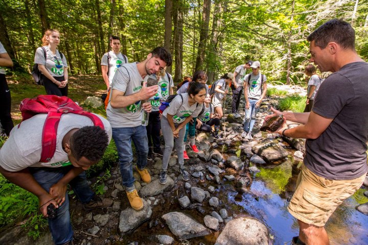 Montclair CSAM students conducting field studies near a stream.