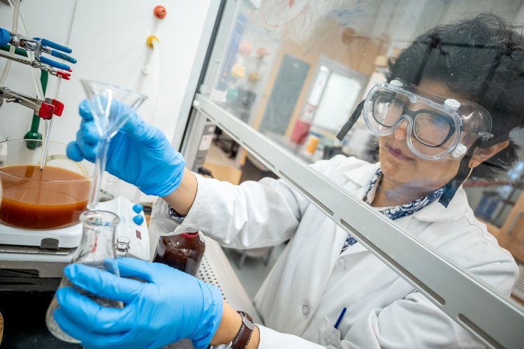 A student worker in a white coat, mask and blue gloves stands behind a fume hood, pouring liquid through a glass funnel into a flask beside a container of brown solution and other lab equipment.