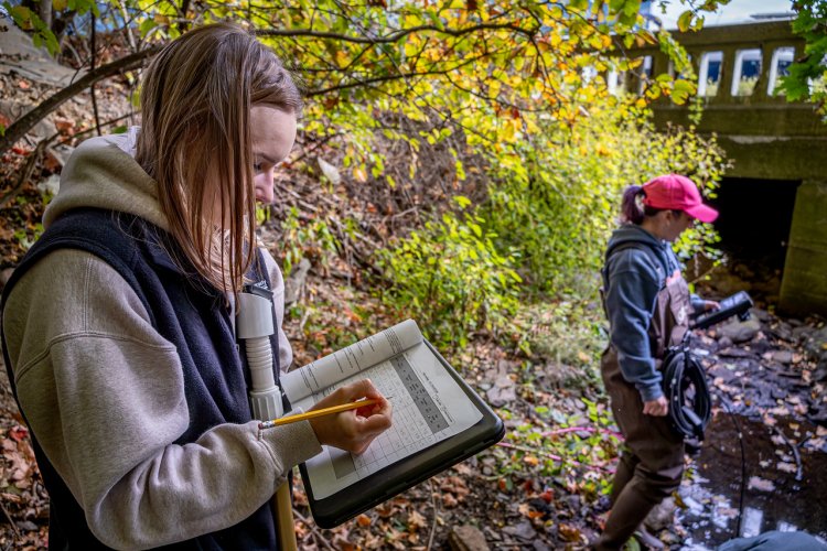 A person in a hoodie and vest stands under autumn foliage, writing observations on a clipboard beside a rocky stream bank, while another person in waders and a red cap works with field equipment near a concrete culvert in the background.