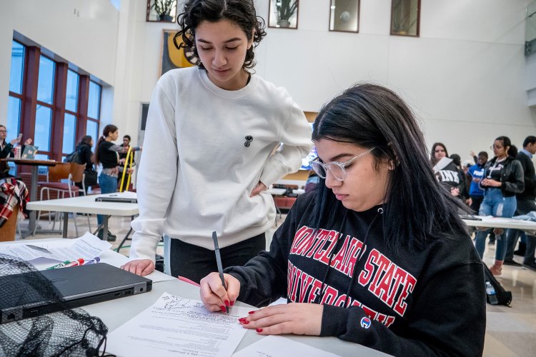 Two students working on an assignment together.