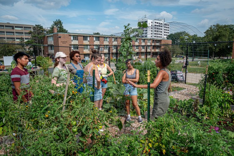 Students caring for the Community Garden.