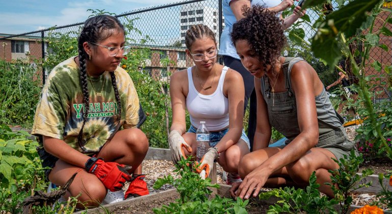 three students working together in the community garden.