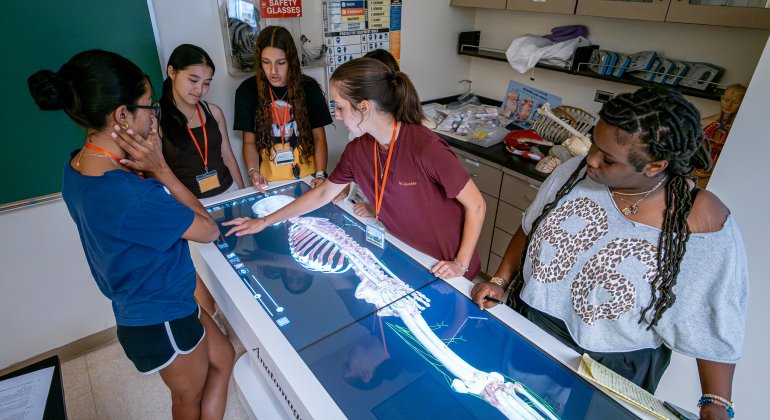Students study a digital skeleton.