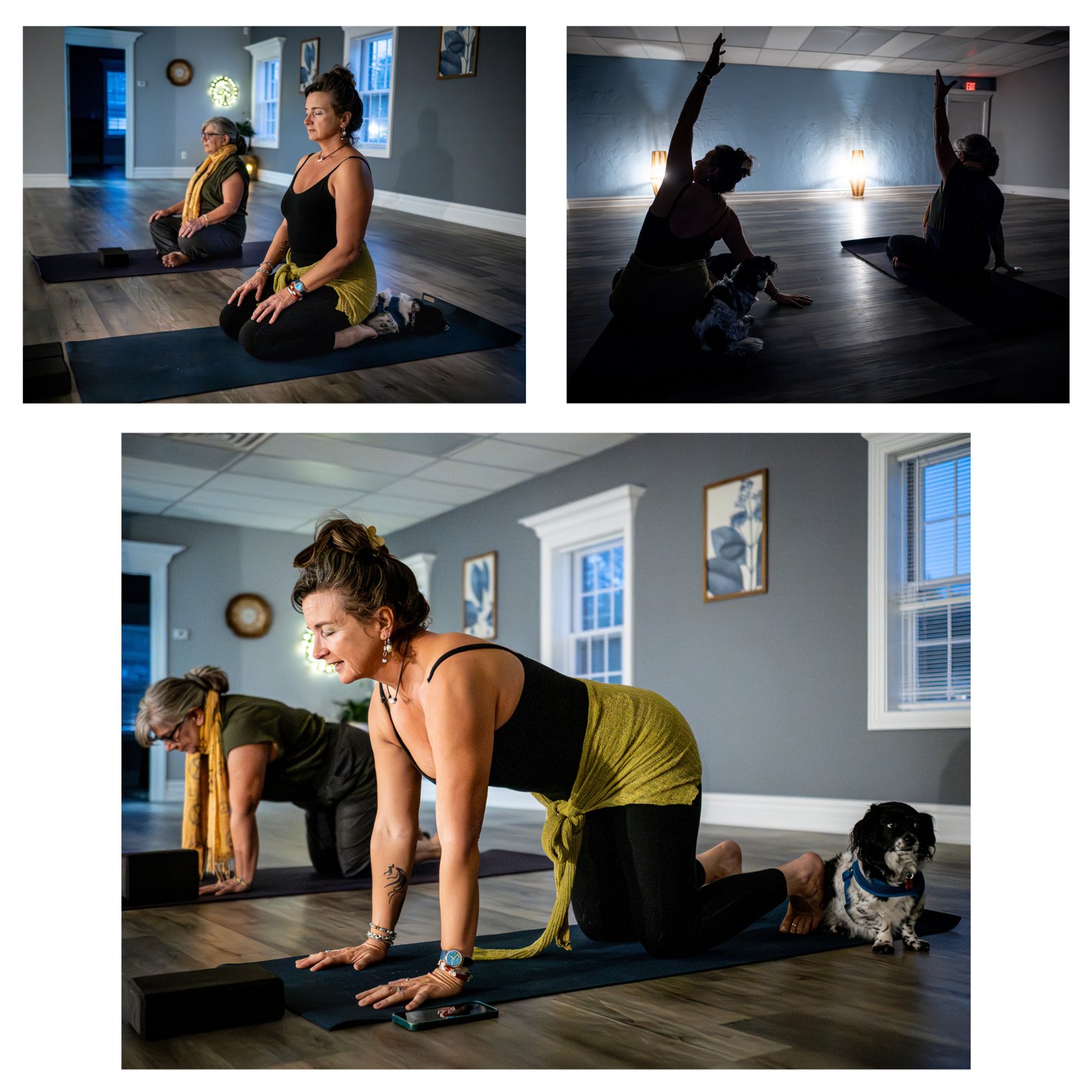 Three pictures, two side by side with one under, all of various yoga poses.