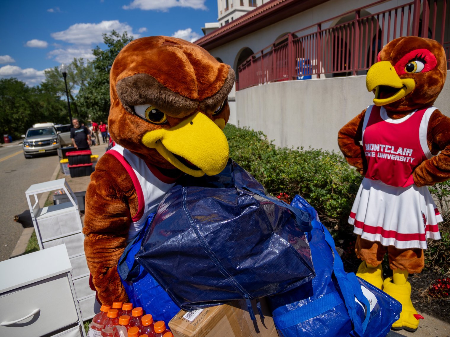 Rocky pushing a cart on move-in day while Roxy observes