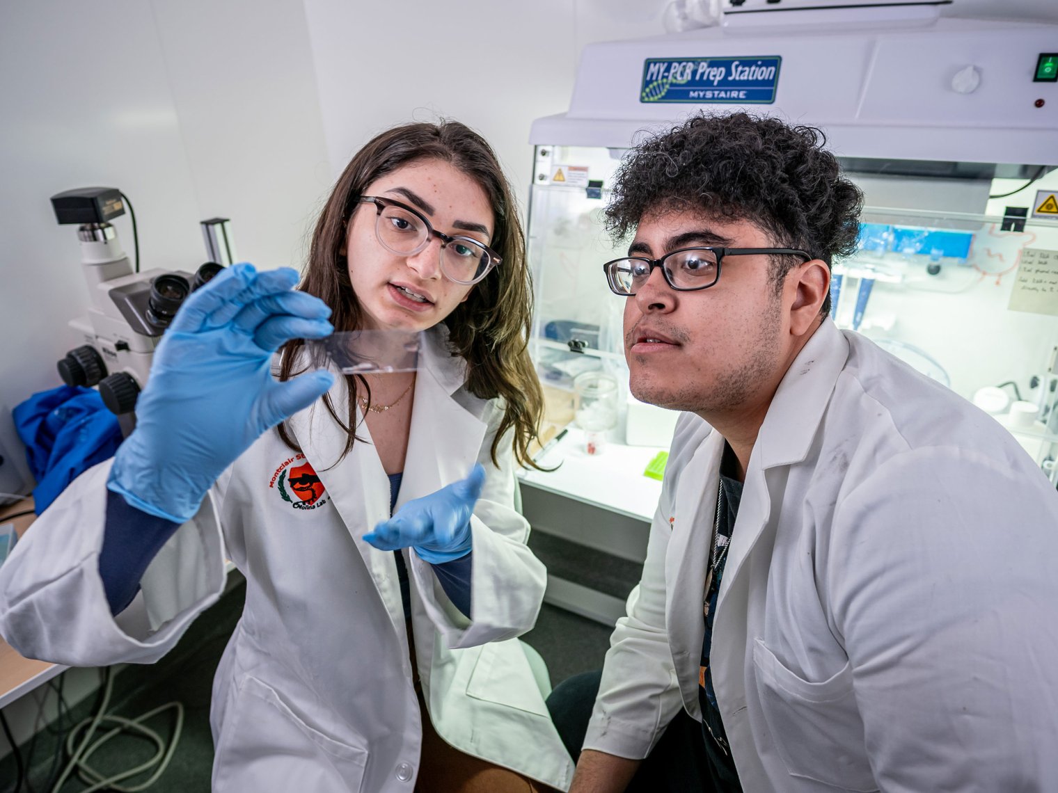 Two lab researchers wearing white lab coats and blue gloves stand at a bench in a biology lab. On the left, Melissa Spigelman holds up a transparent slide and explains clytia jellyfish polyps and how they will be used in upcoming research. On the right, Melvin Rodriguez leans in closely, watching the slide and listening to her explanation, with lab equipment and a biosafety cabinet visible in the background.