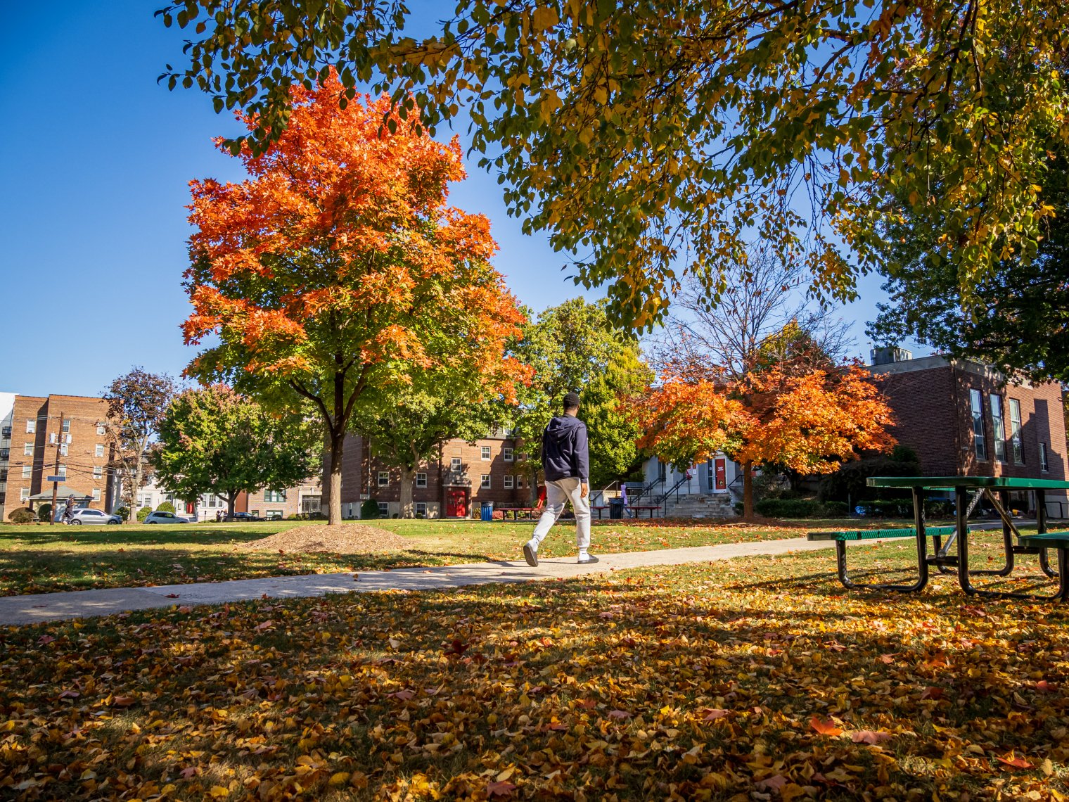 Student walks across Bloomfield campus surrounded by trees in the fall