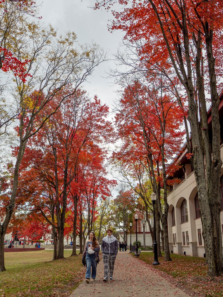 Two peopel walking between trees with red leaves