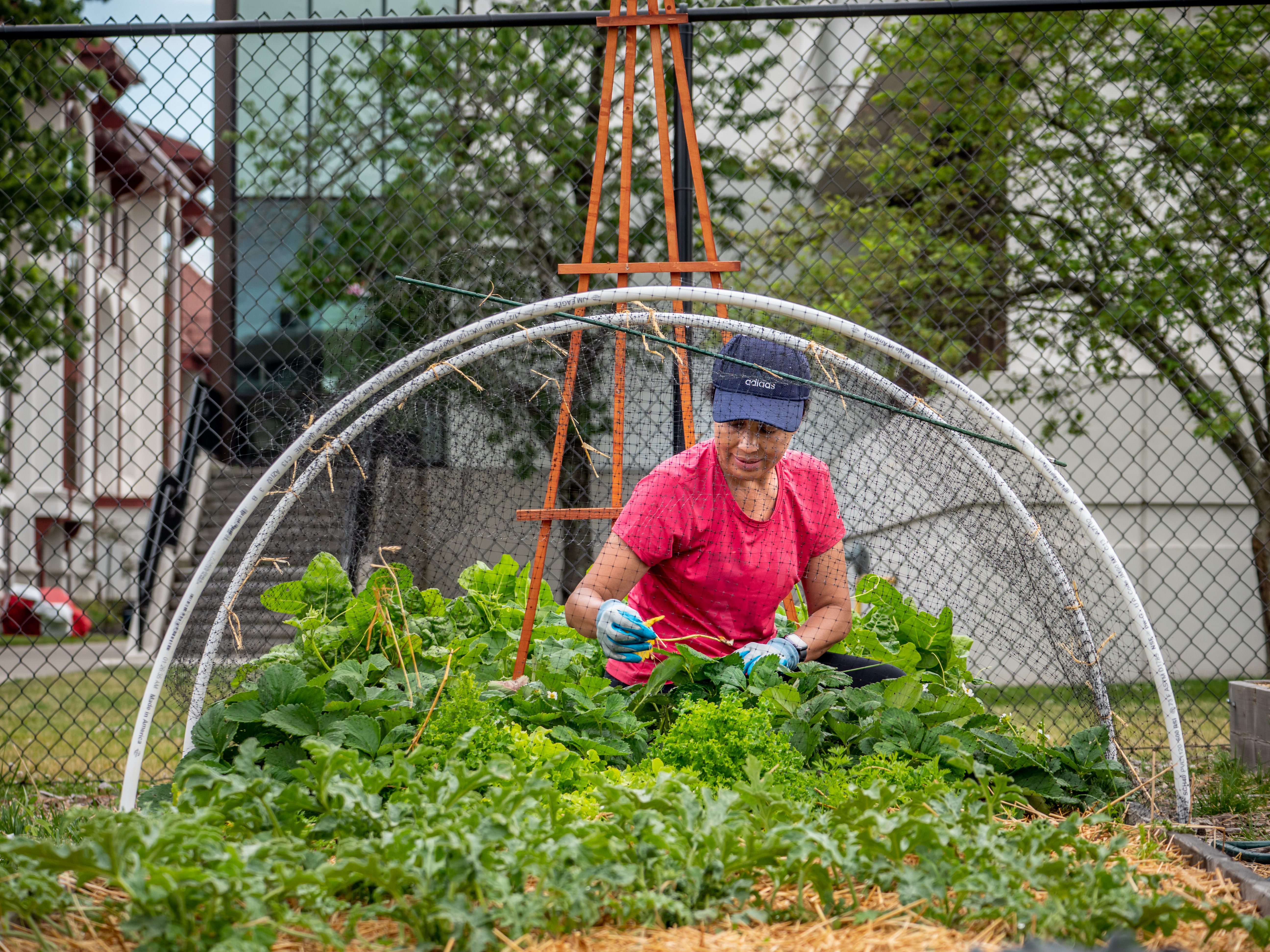 A woman in a pink shirt and blue baseball cap kneeling down to tend to a garden bed.