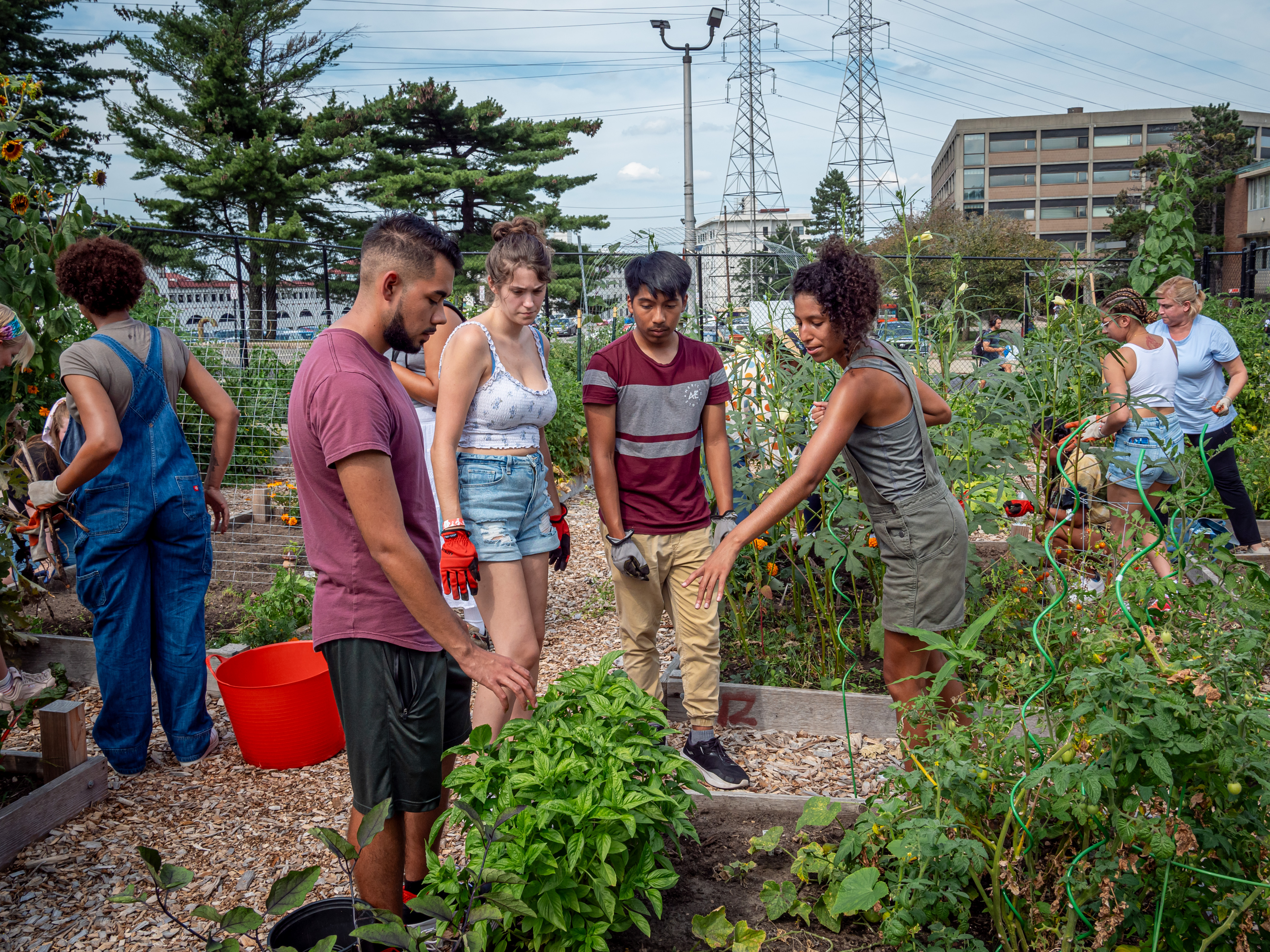 Garden Manager, Brittney Portes, points out a plant to a group of student gardeners.