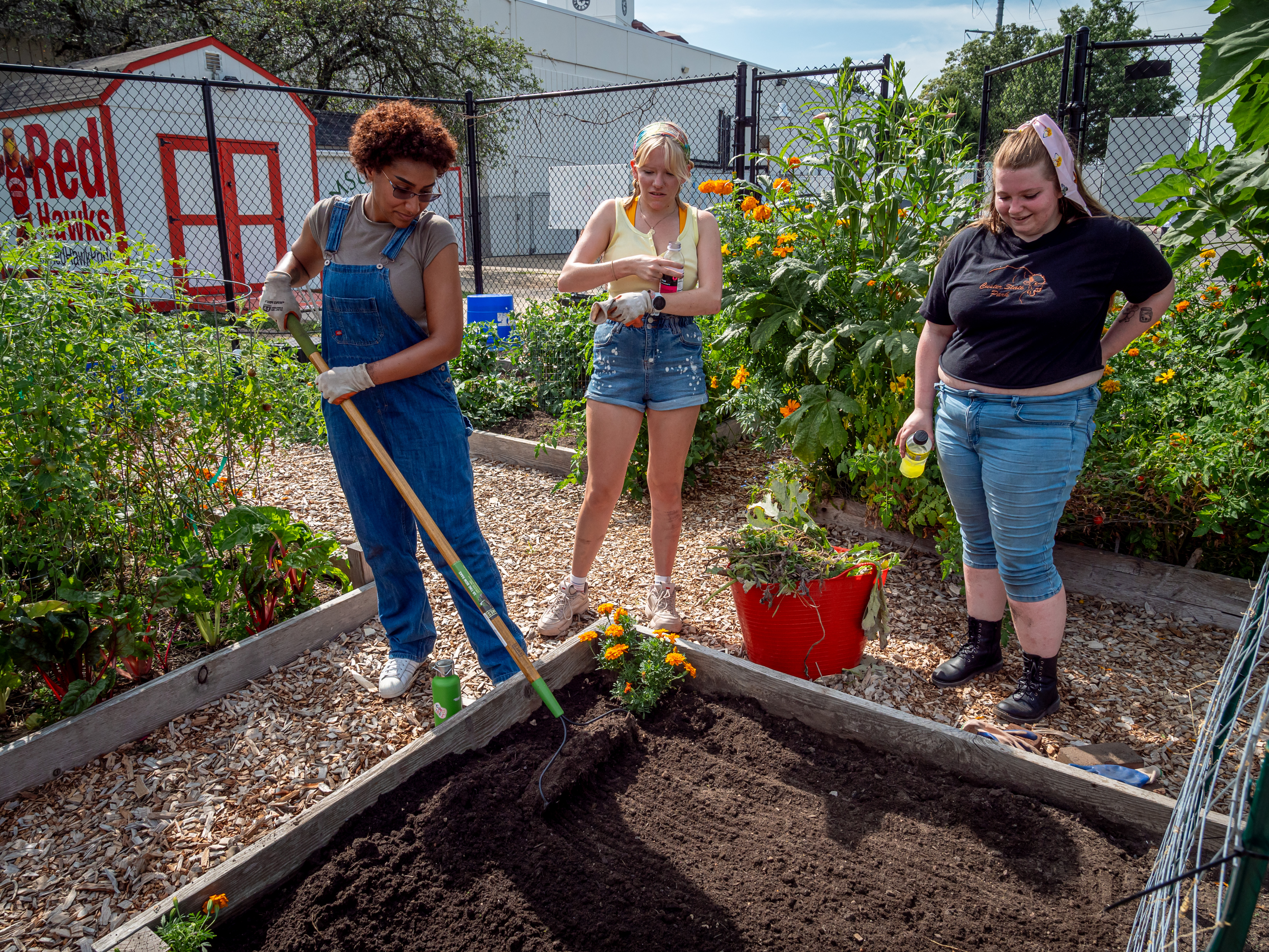 Three students standing around a raised bed while one rakes the soil in the bed.